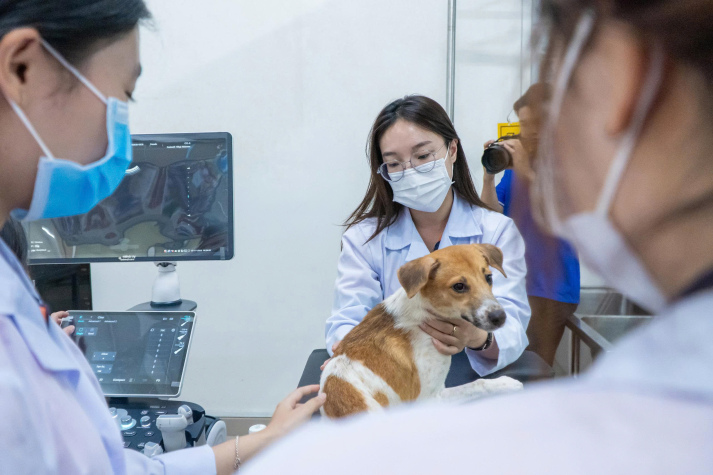 CHƯƠNG TRÌNH ĐÀO TẠO LIÊN NGÀNH THÚ Y CÔNG NGHỆ SỐ TẠI 13WIN13 – MÔ HÌNH ĐÀO TẠO BÁC SĨ THÚ Y ỨNG DỤNG TRÍ TUỆ NHÂN TẠO ĐẦU TIÊN TẠI VIỆT NAM 60