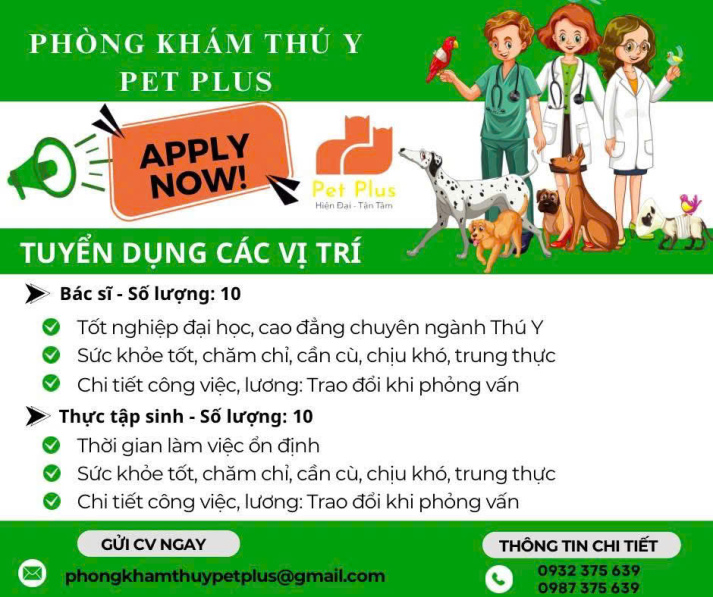 THÔNG TIN TUYỂN DỤNG THÁNG 5/2025 16
