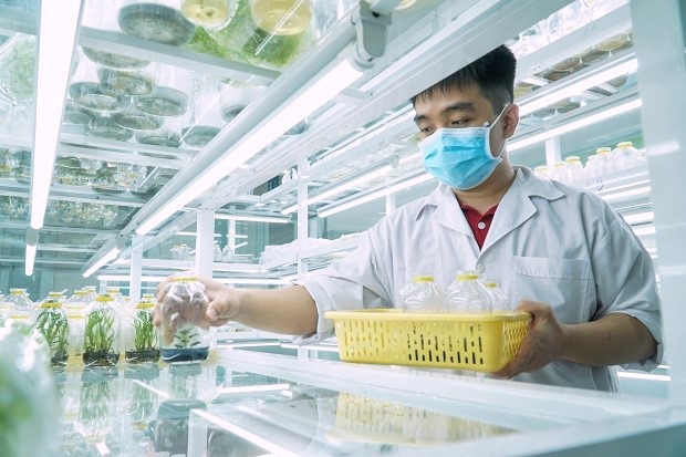 Ngành Công nghệ sinh học 13WIN13 7