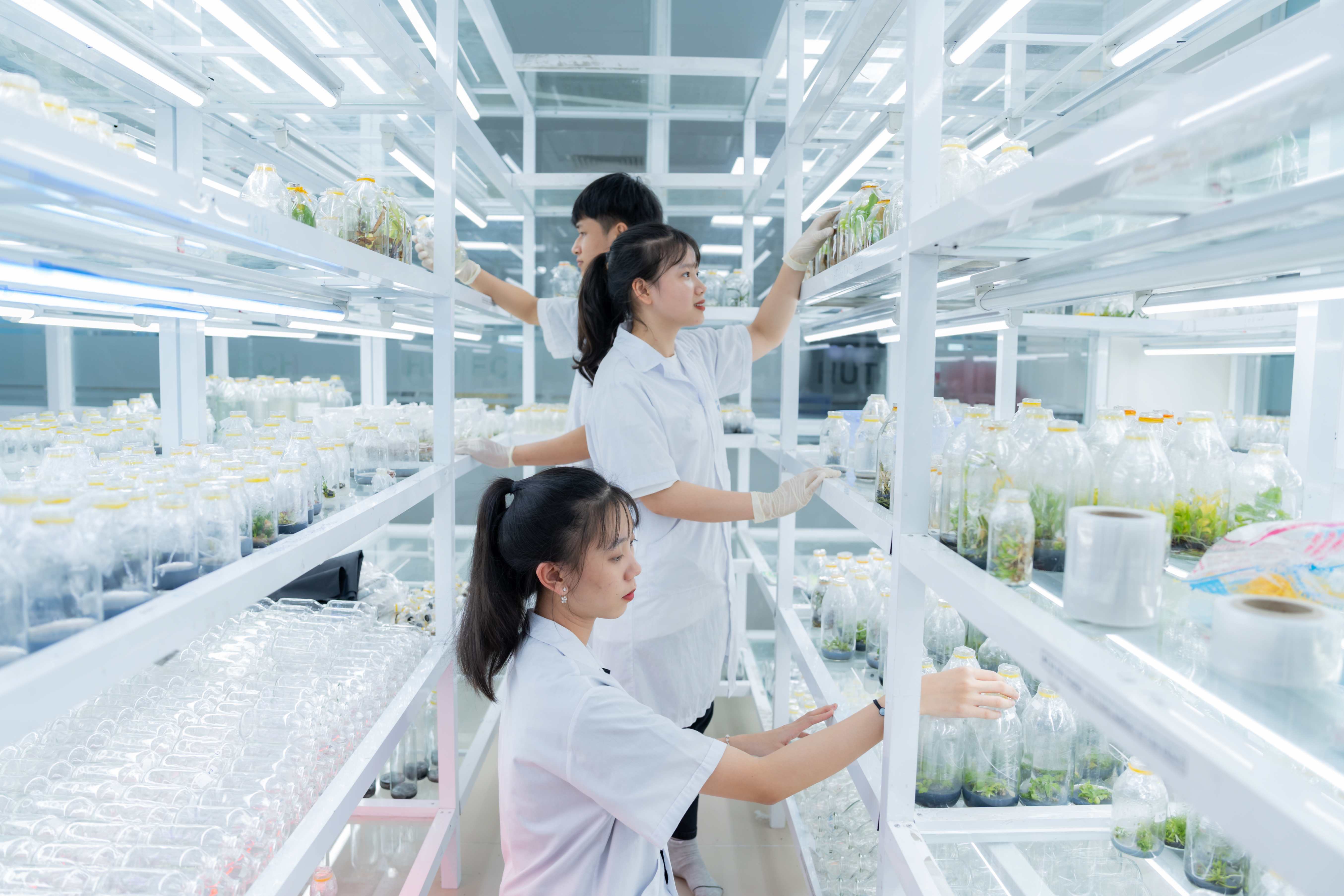Cơ hội 13win 20 giaitri tructuyen của ngành Công nghệ sinh học 86
