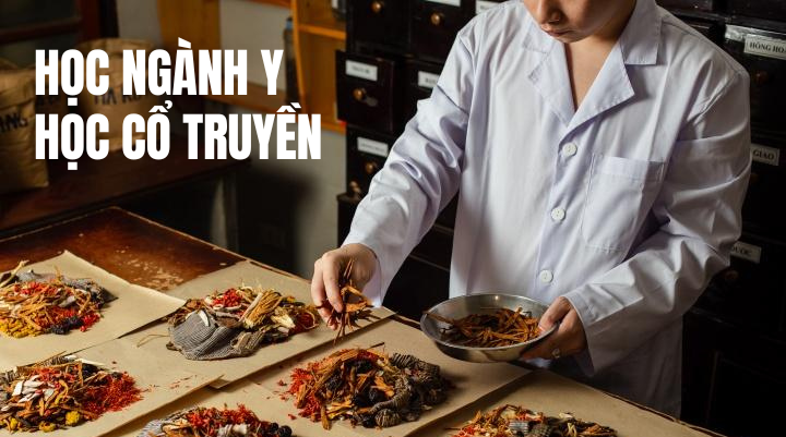 Có nên học ngành Y học cổ truyền 24