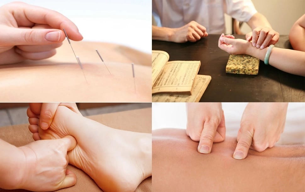 Có nên học ngành Y học cổ truyền 151