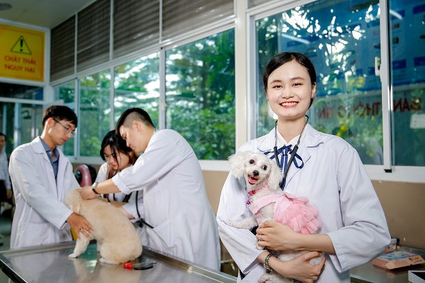 13Win 21 link không chặn ngành Thú y 13WIN13 được học cùng các 