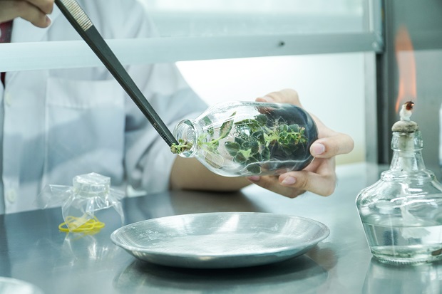 13Win 21 link không chặn ngành Công nghệ sinh học sau khi 13Win13 link đăng nhập sẽ đảm nhiệm nhiều vị trí công việc khác nhau