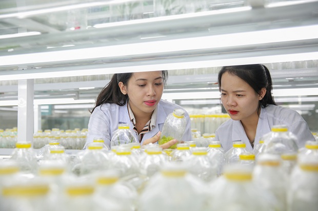 Để trở thành kỹ sư Công nghệ sinh học, trong 4 năm bạn cần phải nỗ lực để hoàn thiện bản thân