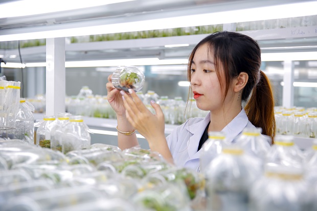 Ngành Công nghệ sinh học là một lĩnh vực công nghệ cao nghiên cứu và vận dụng sinh vật sống