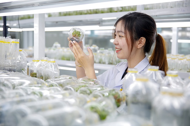  Nên lựa chọn trường 13Win32 đăng nhập uy tín và có truyền thống đào tạo để theo học ngành Công nghệ sinh học
