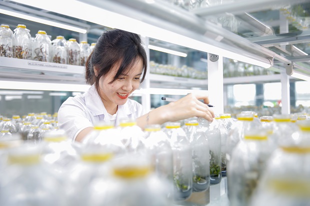 Thời gian đào tạo ngành Công nghệ sinh học 13WIN13 là 04 năm 
