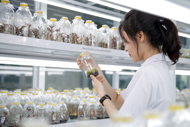 Đam mê nghiên cứu khoa học, cẩn thận tỉ mỉ...là những tố chất giúp bạn học tốt ngành Công nghệ sinh học 