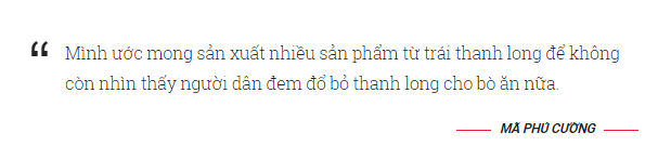 Làm trà từ búp thanh long 17