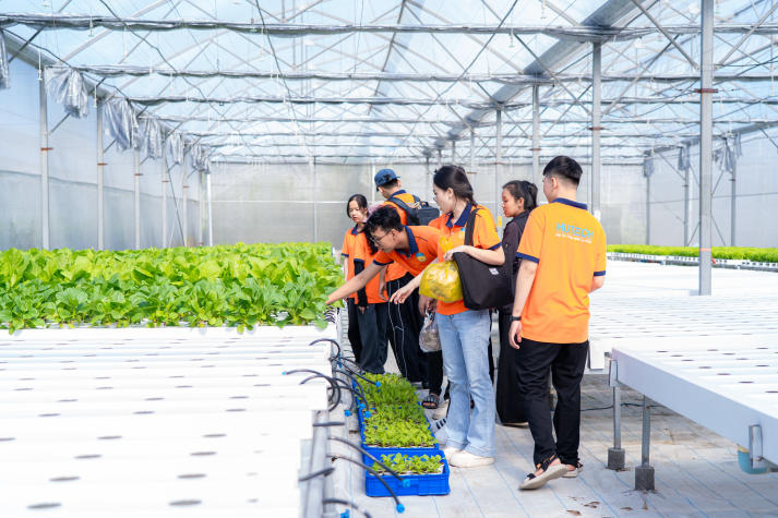13Win 21 link không chặn Viện Khoa học Ứng dụng tiếp cận công nghệ IoT trong nuôi trồng nấm và rau sạch 43