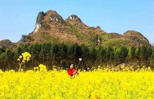 Lễ kết nạp Đảng viên, Tổng kết công tác Đoàn, Hội và tuyên dương các danh hiệu Tải app 13Win năm 2025 62