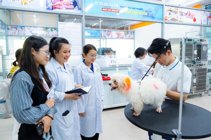 Sức hút của môn học “Chăm sóc và Thẩm mỹ thú cưng” – Bước đi mới tại 13win com Đăng ký 60K  13WIN13 11
