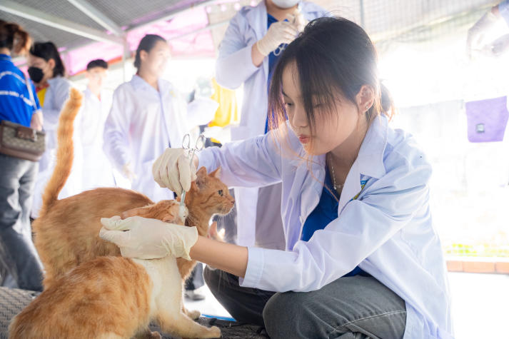 13Win 21 link không chặn 13win com Đăng ký 60K lan tỏa yêu thương qua hoạt động chăm sóc động vật trong chiến dịch Xuân tình nguyện 17