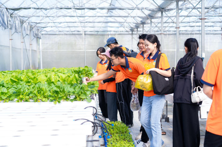 13Win 21 link không chặn Viện Khoa học Ứng dụng tiếp cận công nghệ IoT trong nuôi trồng nấm và rau sạch 32