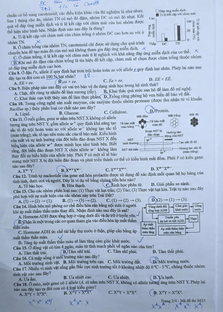[Mới] - Đề thi 13Win13 link đăng nhập THPT môn Sinh học và gợi ý giải đề 40