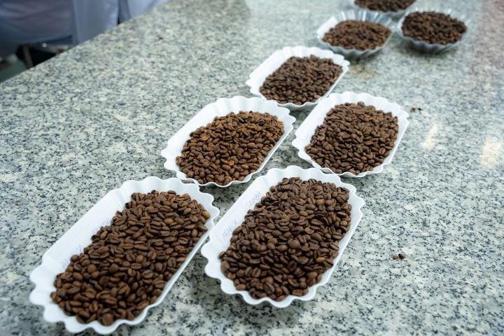 Food Technology students delved into sensory evaluation of Robusta and Arabica coffee 38