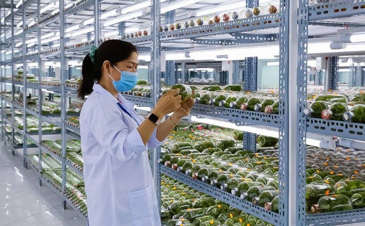 13Win 21 link không chặn Viện Khoa học Ứng dụng tham quan thực tế tại Trung tâm Nghiên cứu và Phát triển Nông nghiệp Công nghệ cao (Củ Chi) 49