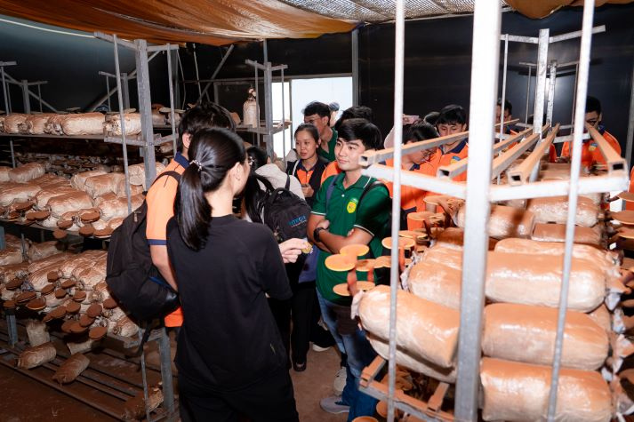 13Win 21 link không chặn Viện Khoa học Ứng dụng tiếp cận công nghệ IoT trong nuôi trồng nấm và rau sạch 75
