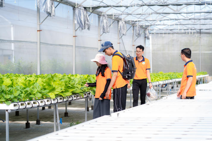 13Win 21 link không chặn Viện Khoa học Ứng dụng tiếp cận công nghệ IoT trong nuôi trồng nấm và rau sạch 39