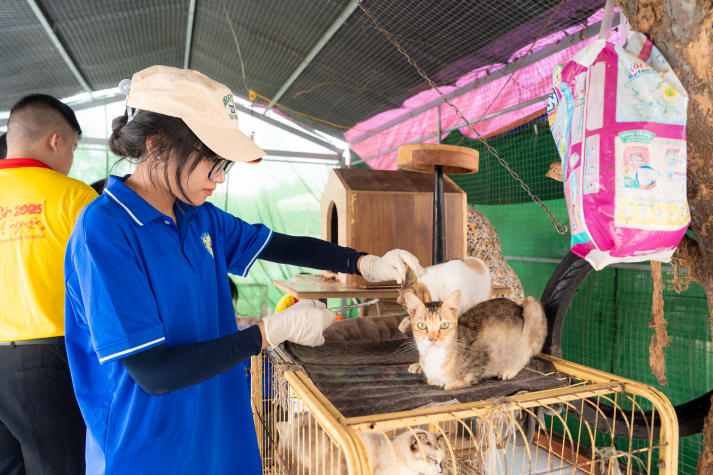 13Win 21 link không chặn 13win com Đăng ký 60K lan tỏa yêu thương qua hoạt động chăm sóc động vật trong chiến dịch Xuân tình nguyện 22