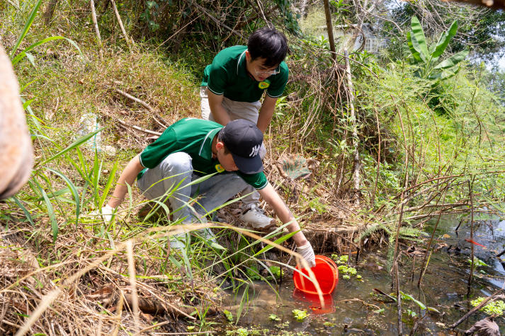 Khám phá thiên nhiên Ramsar Láng Sen - 13Win 21 link không chặn ngành Quản lý tài nguyên và 13Win32 cá cược thể thao 13WIN13 tăng cường năng lực nghiên cứu thực địa 48