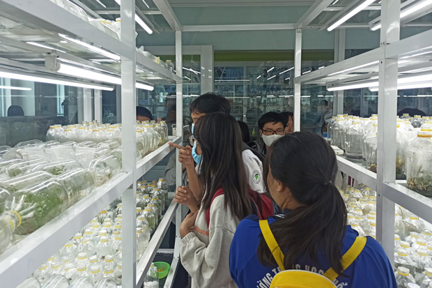 Cuộc thi “Môi trường và Con người” lần XI chính thức khai mạc 153