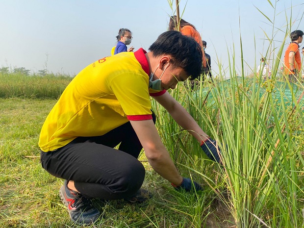Chiến sĩ Xuân tình nguyện 13WIN13 2021 phủ xanh khuôn viên trường 65