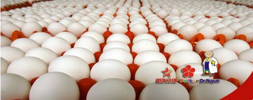 SINH VIÊN NGÀNH QUAN HỆ CÔNG CHÚNG "CHOÁNG NGỢP" VỚI ĐỘ "NGẦU VÀ CHUẨN PRO" CỦA CÔNG TY VNG 18