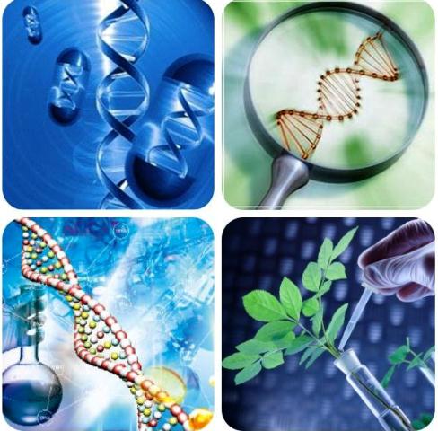Chương trình đào tạo cử nhân cao đẳng Công nghệ sinh học 87